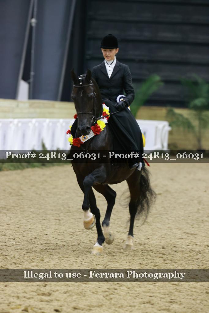 Proof 24R13_06031
