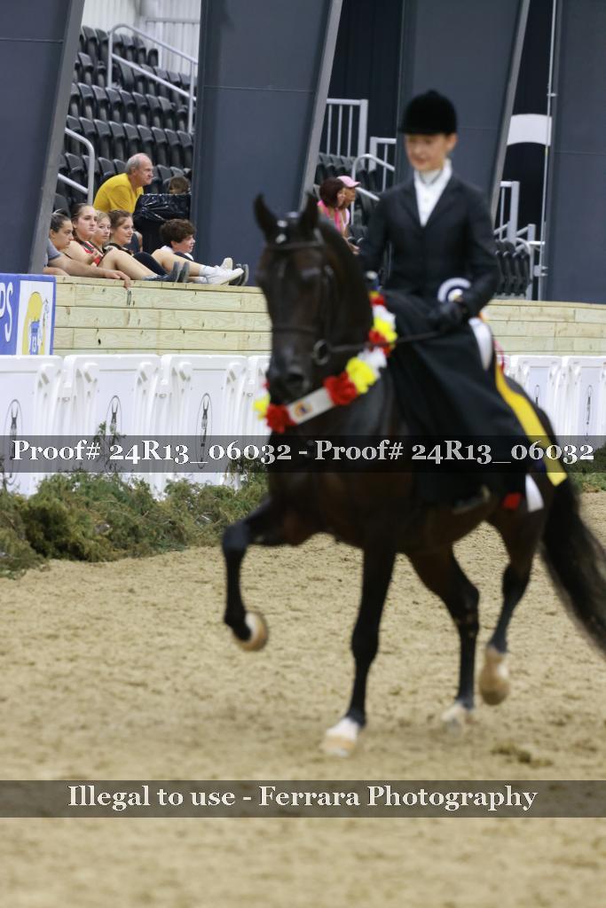 Proof 24R13_06032
