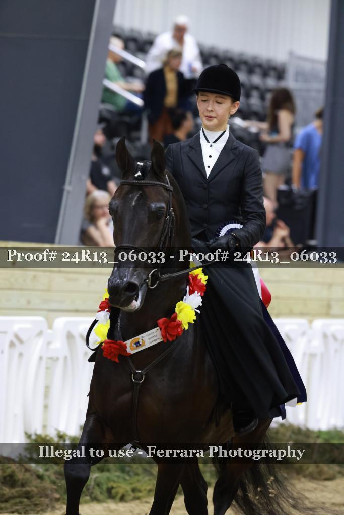 Proof 24R13_06033