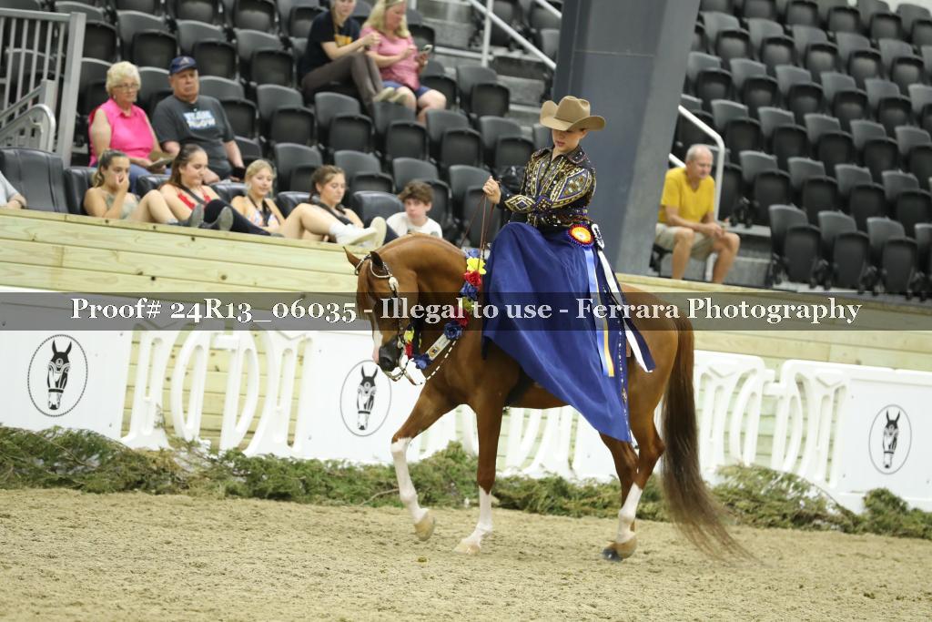 Proof 24R13_06035