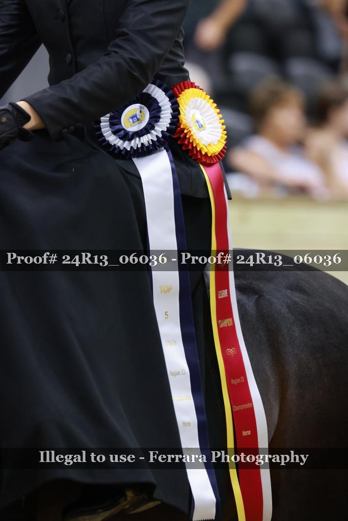 Proof 24R13_06036