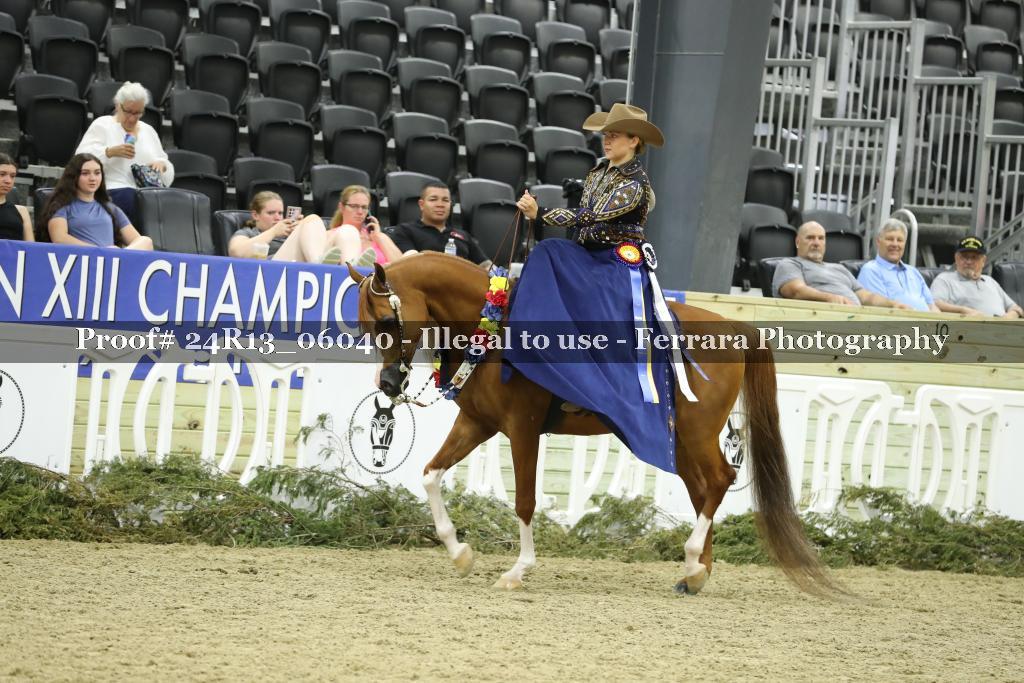 Proof 24R13_06040