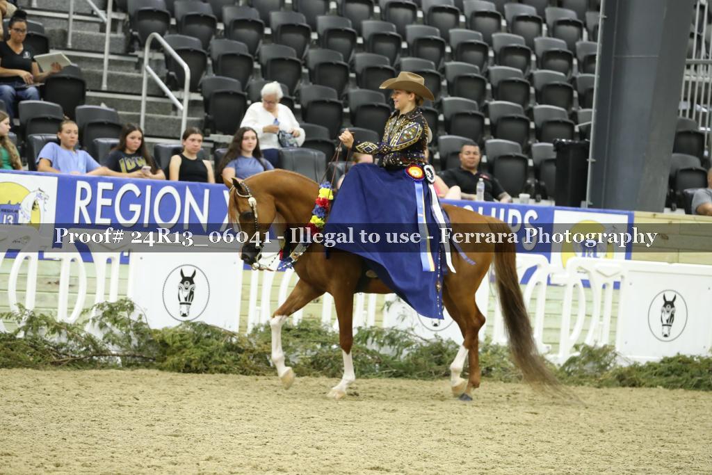 Proof 24R13_06041