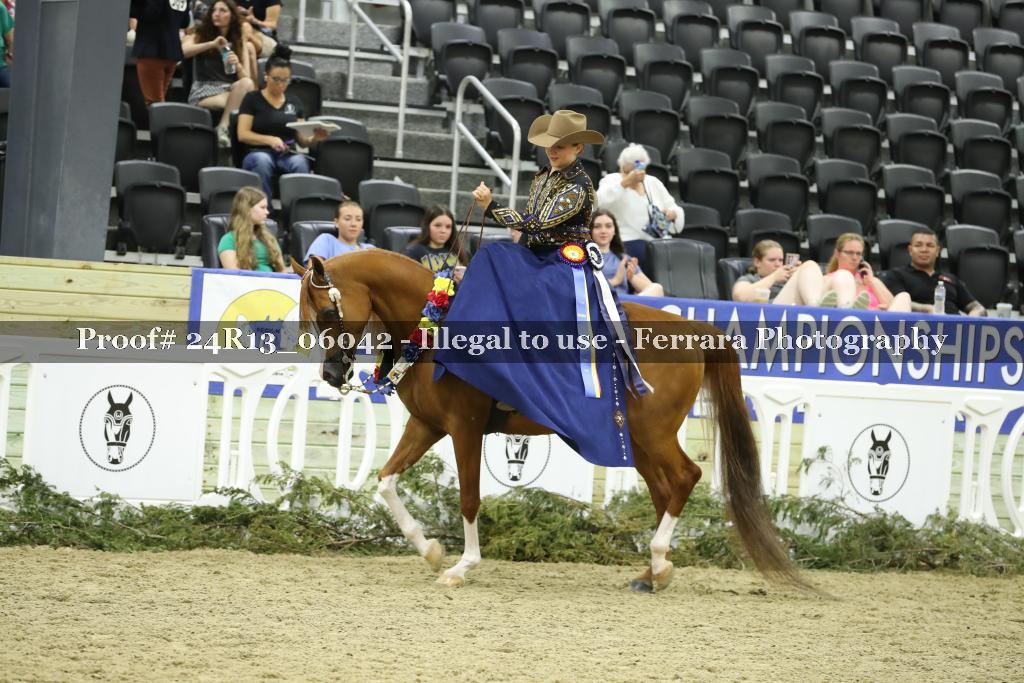 Proof 24R13_06042