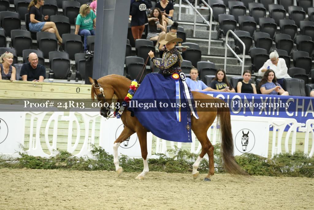 Proof 24R13_06043