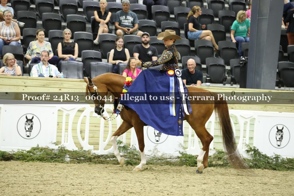 Proof 24R13_06044
