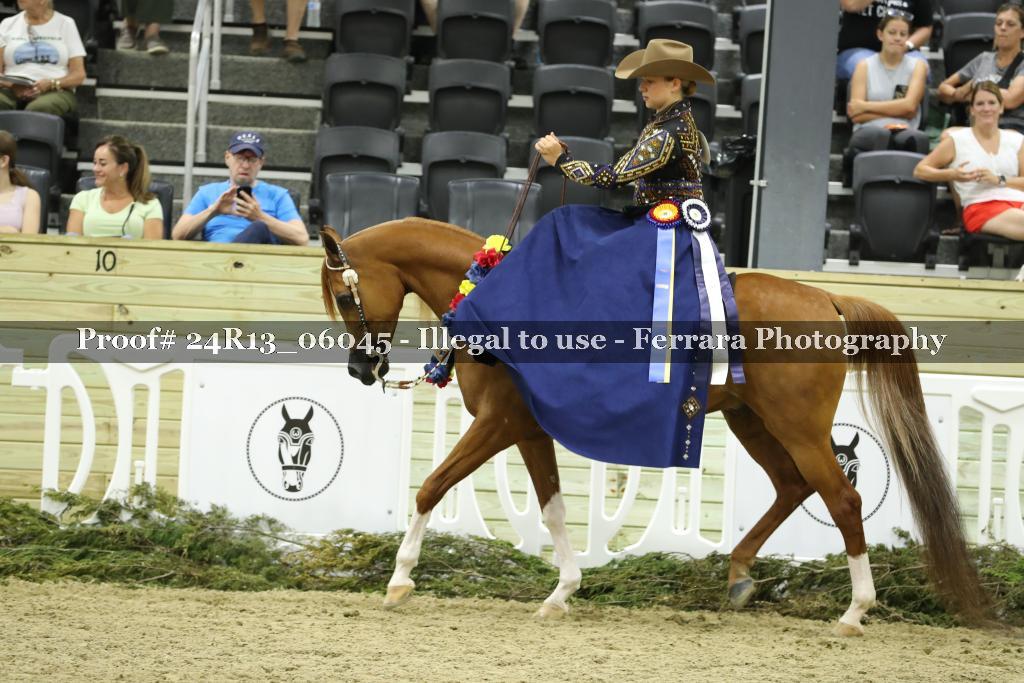 Proof 24R13_06045