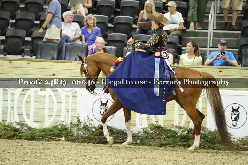 Proof 24R13_06046