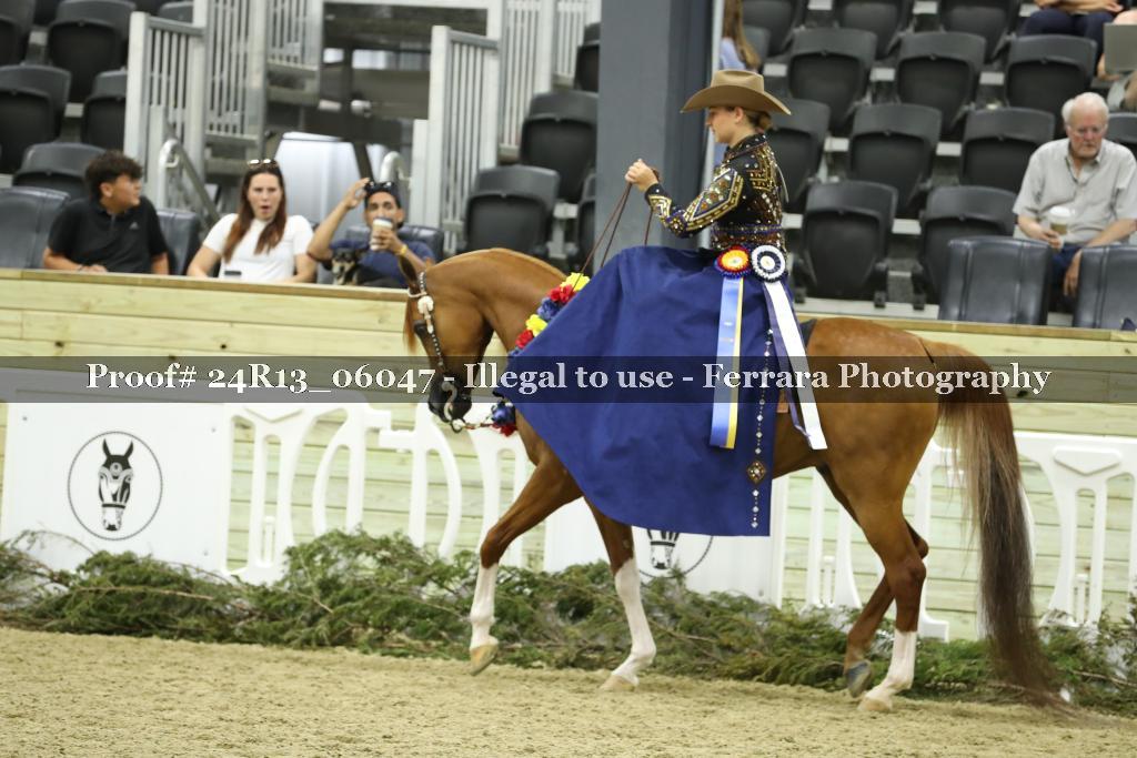 Proof 24R13_06047
