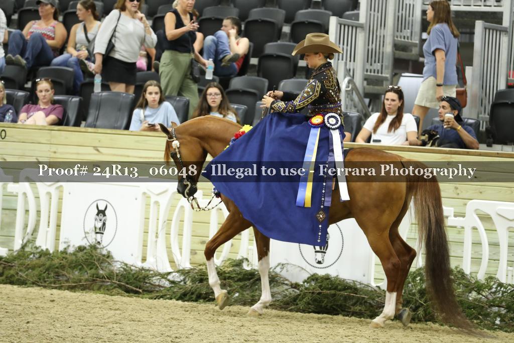 Proof 24R13_06048