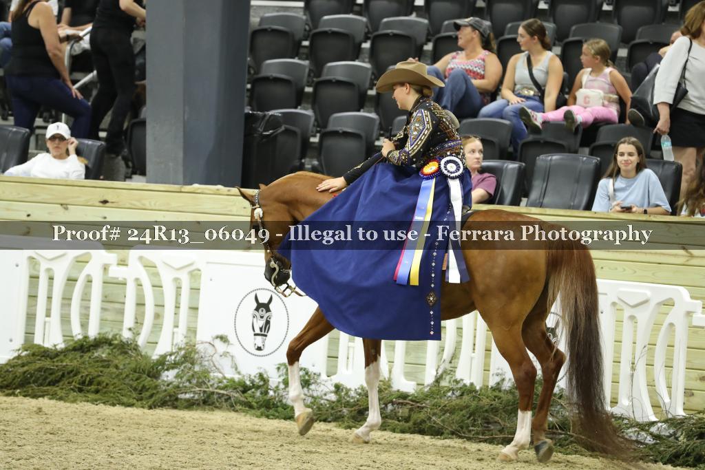 Proof 24R13_06049