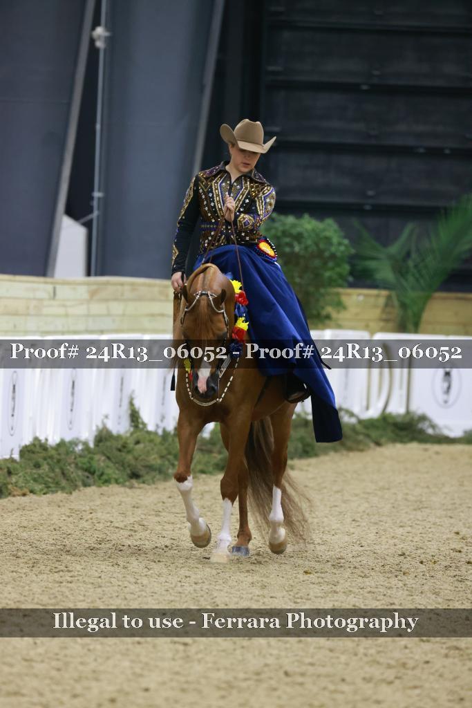 Proof 24R13_06052