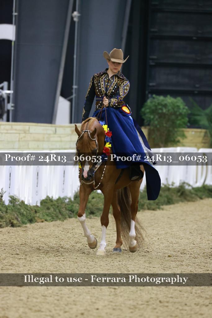Proof 24R13_06053