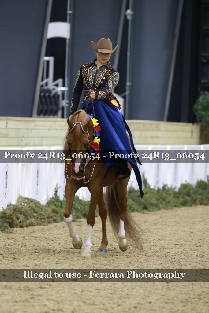 Proof 24R13_06054
