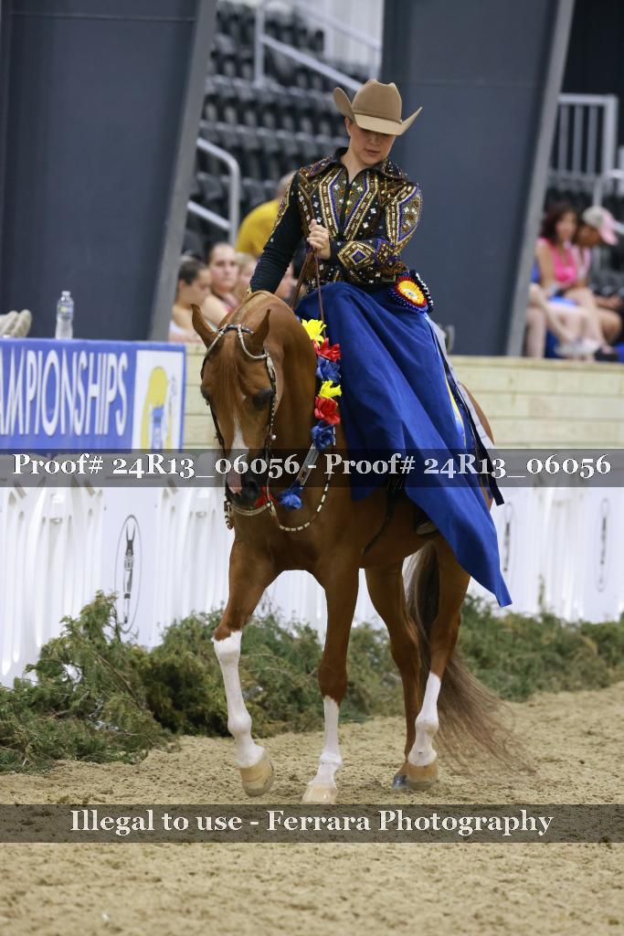 Proof 24R13_06056