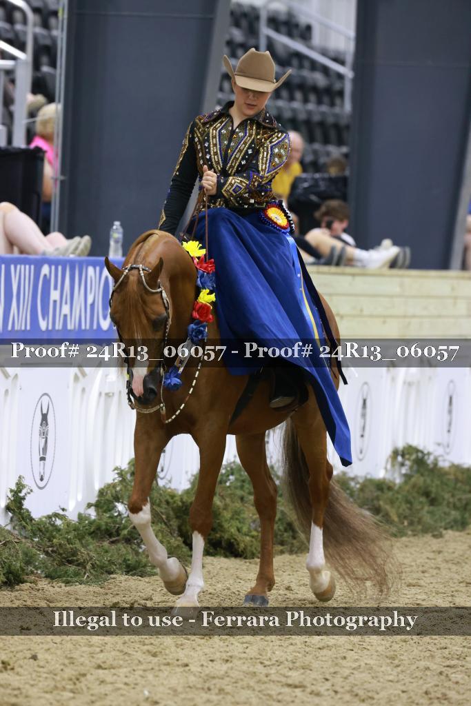 Proof 24R13_06057