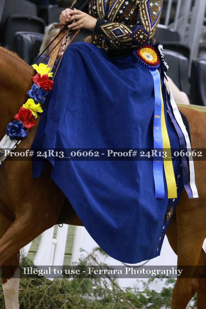 Proof 24R13_06062