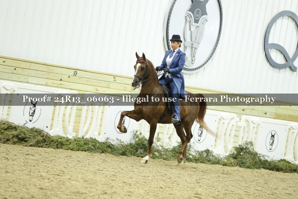 Proof 24R13_06063