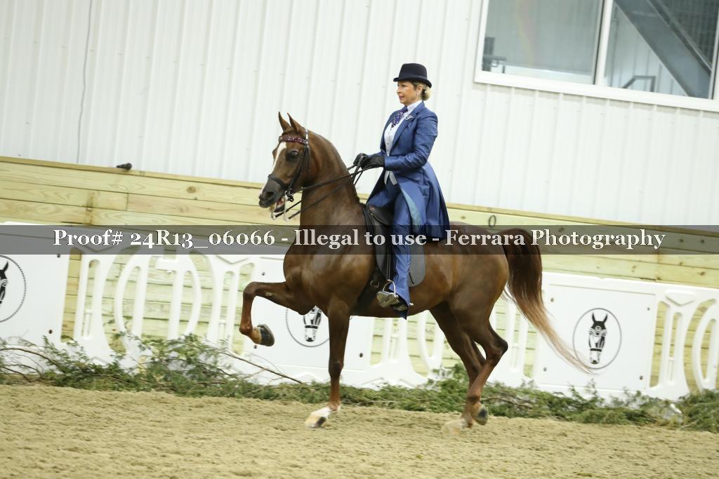 Proof 24R13_06066