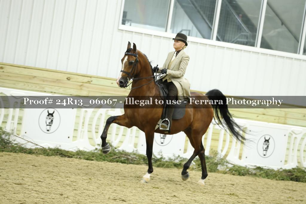 Proof 24R13_06067