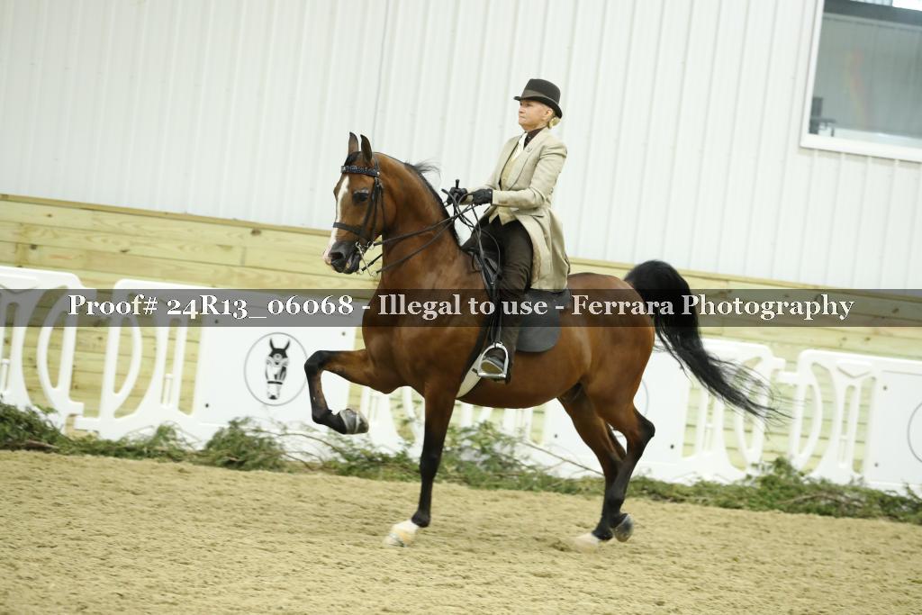 Proof 24R13_06068