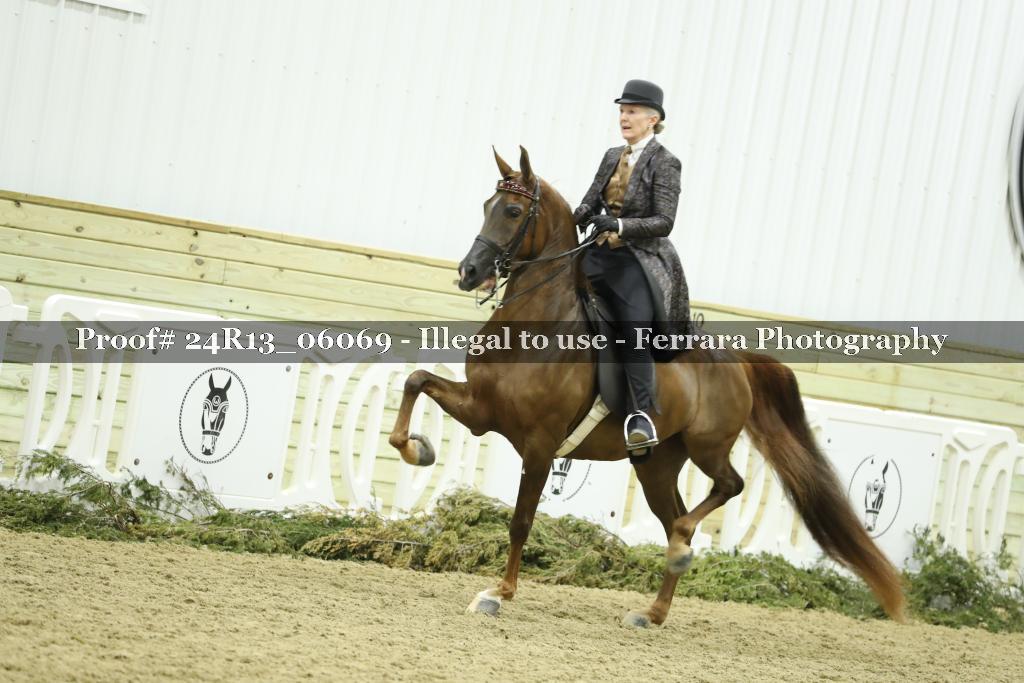 Proof 24R13_06069