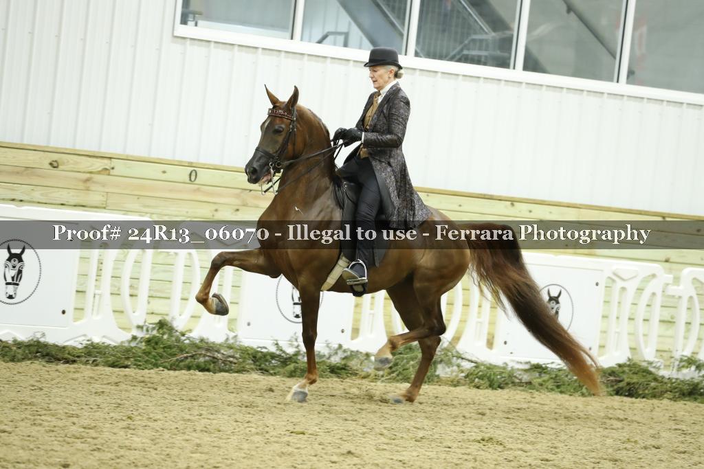 Proof 24R13_06070