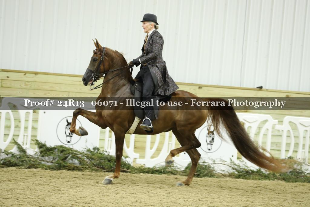 Proof 24R13_06071