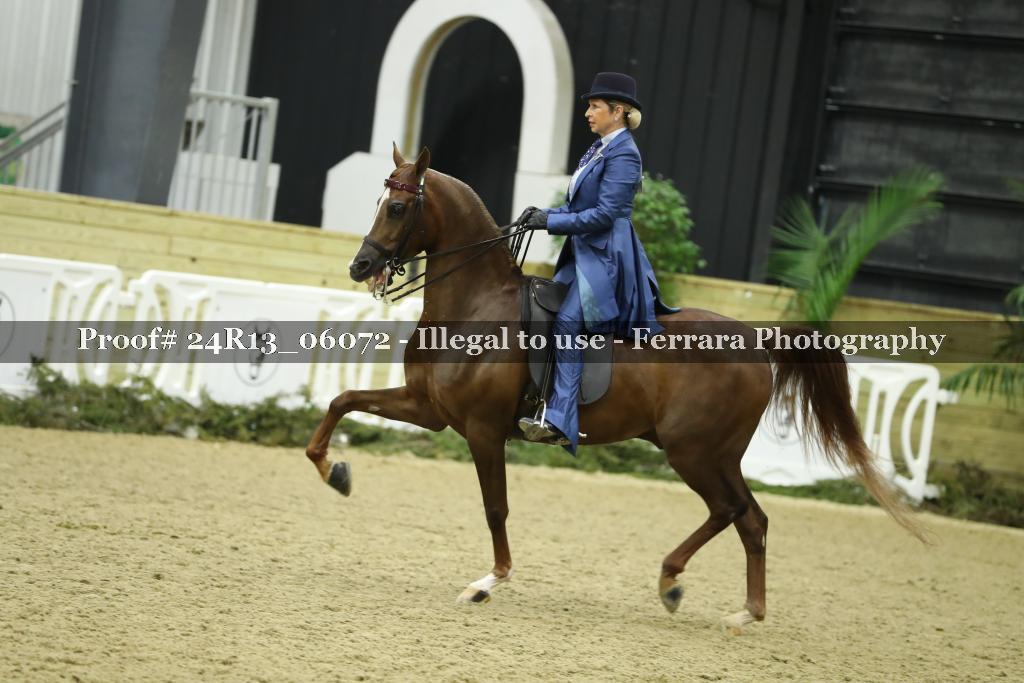 Proof 24R13_06072
