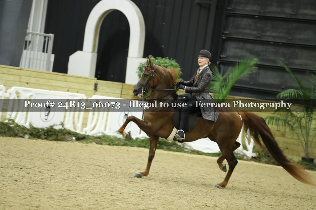 Proof 24R13_06073