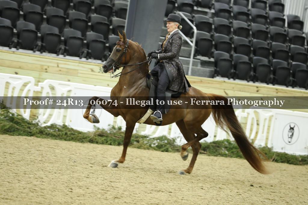 Proof 24R13_06074