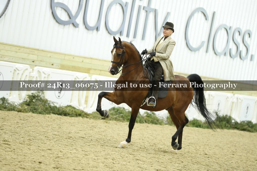 Proof 24R13_06075