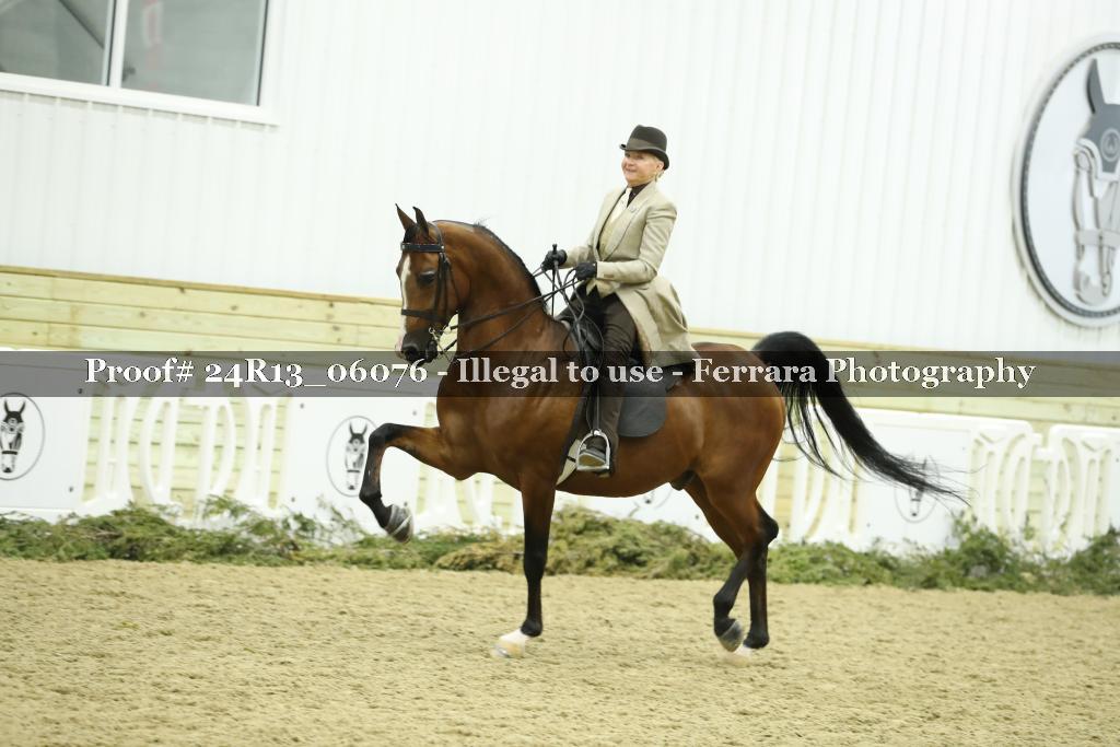 Proof 24R13_06076