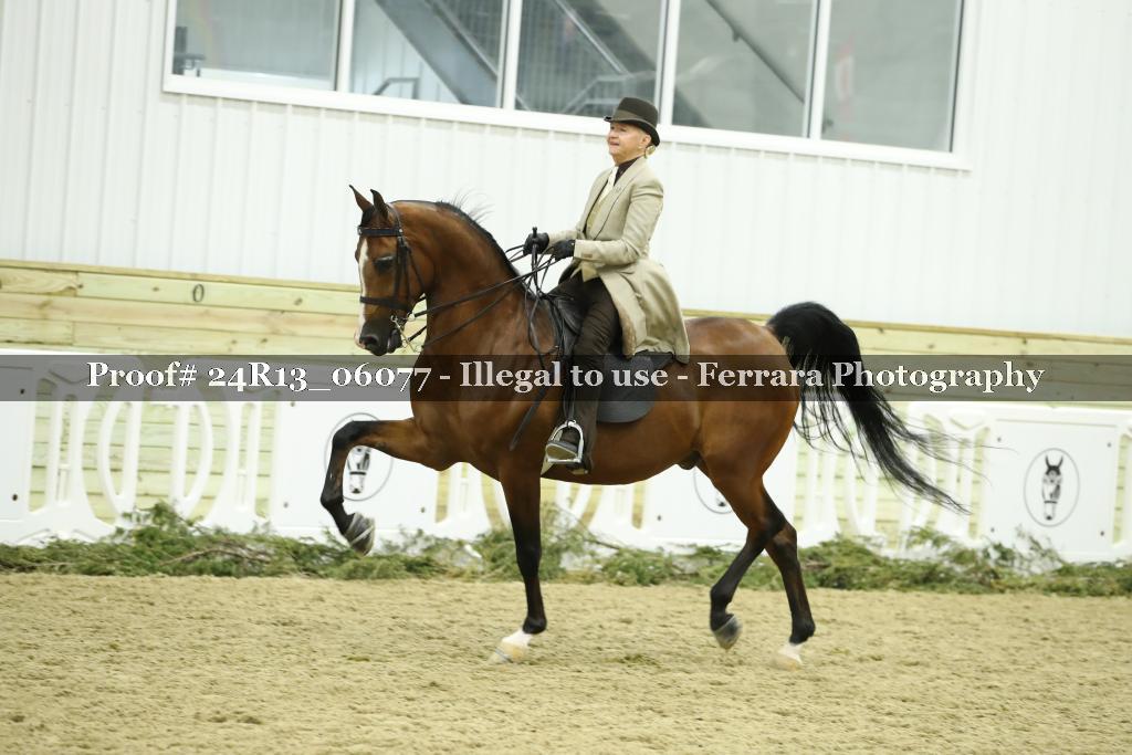 Proof 24R13_06077