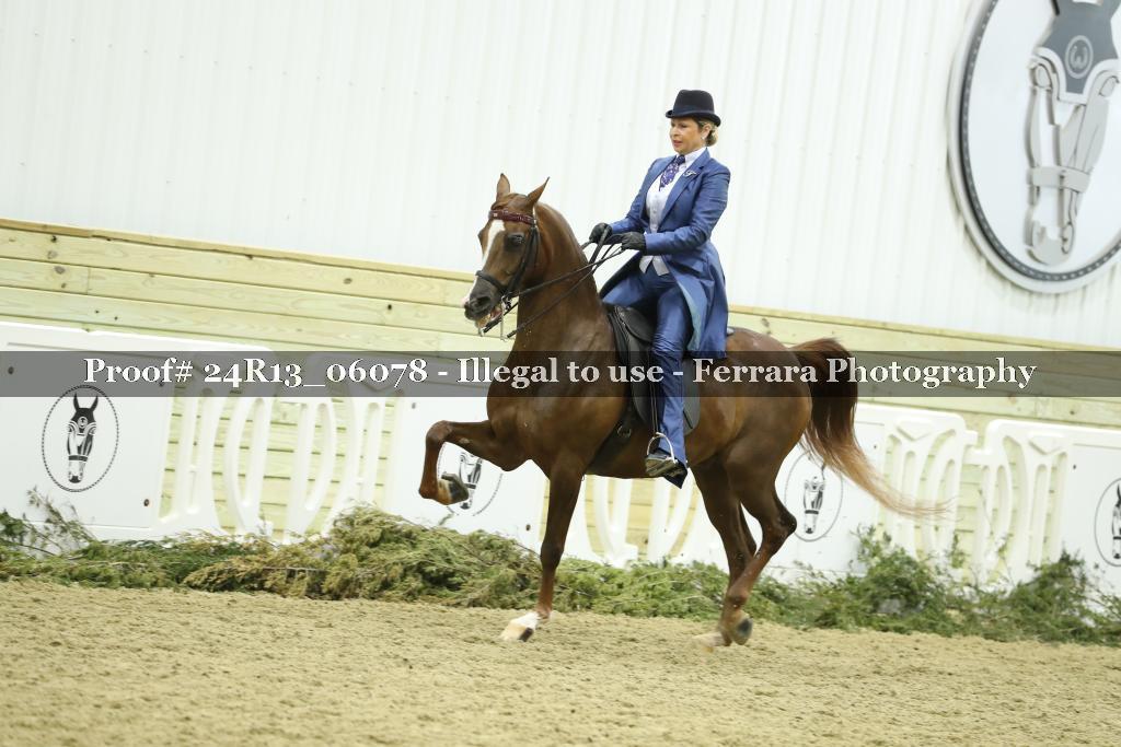 Proof 24R13_06078