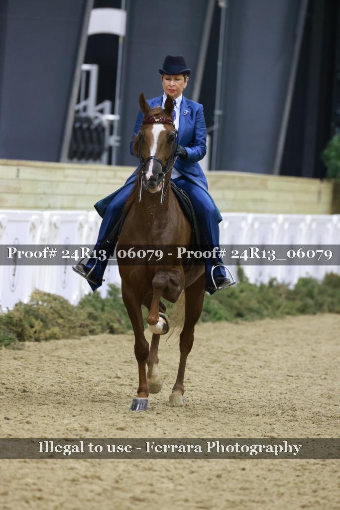 Proof 24R13_06079