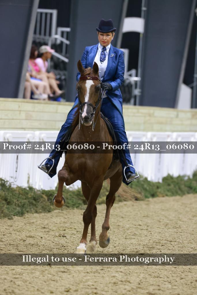 Proof 24R13_06080