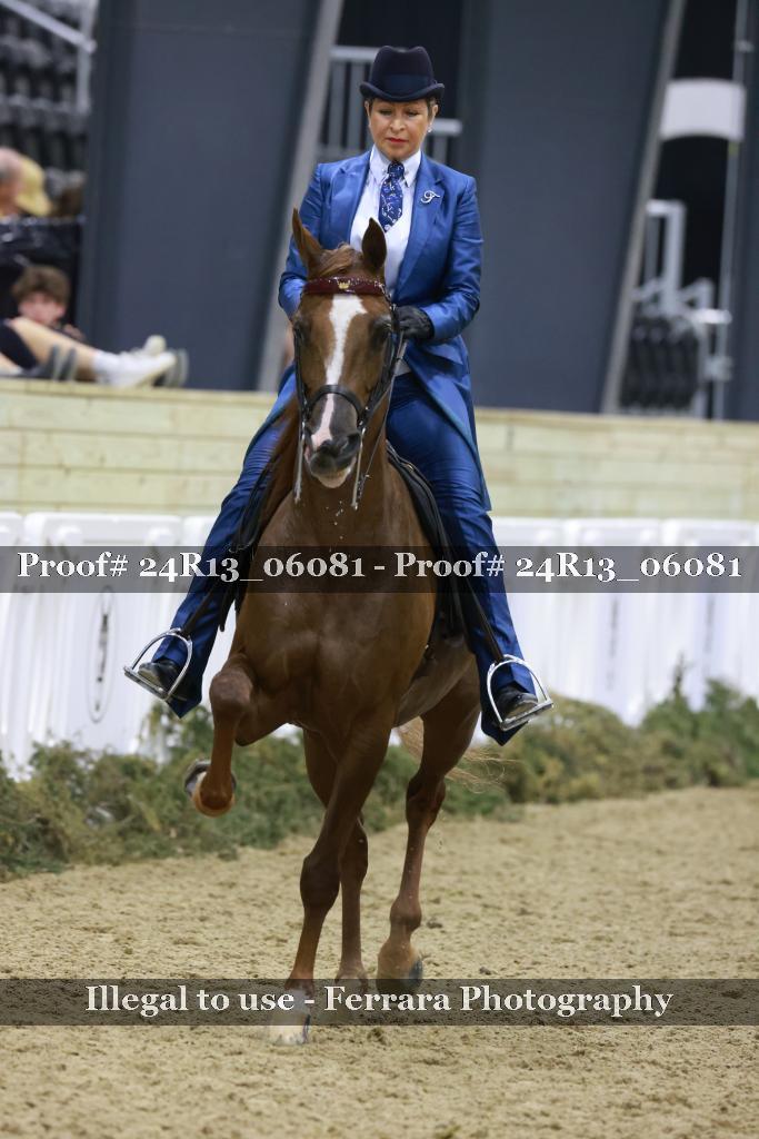 Proof 24R13_06081
