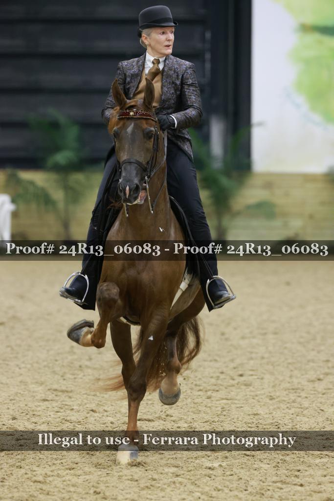 Proof 24R13_06083