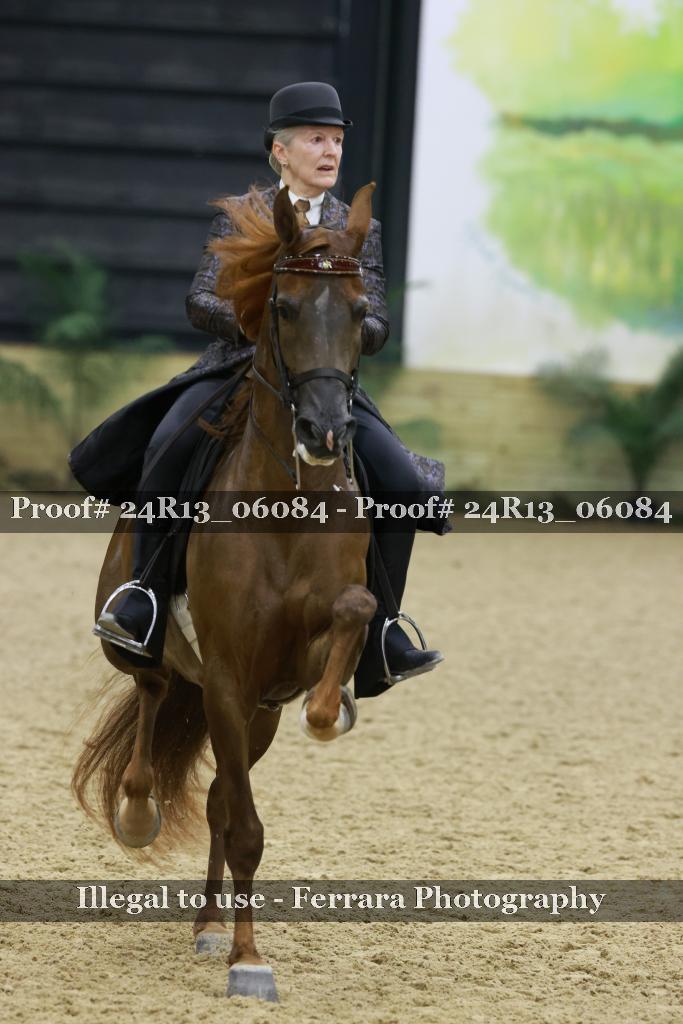 Proof 24R13_06084
