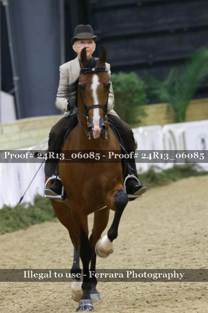 Proof 24R13_06085