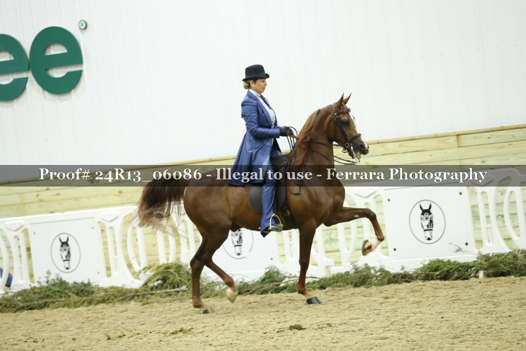 Proof 24R13_06086