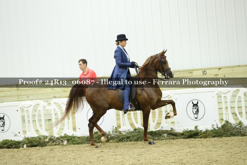 Proof 24R13_06087
