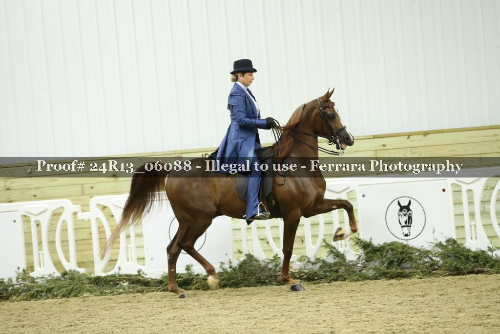 Proof 24R13_06088