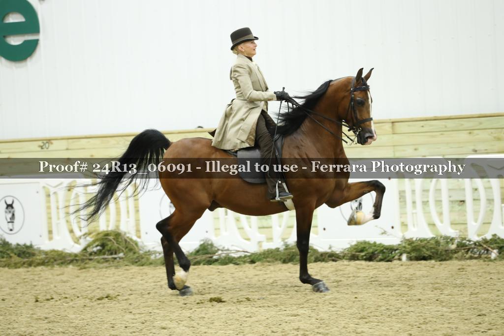 Proof 24R13_06091