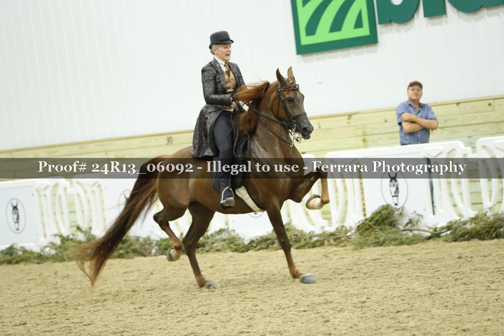 Proof 24R13_06092