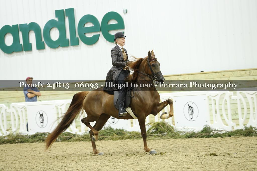 Proof 24R13_06093
