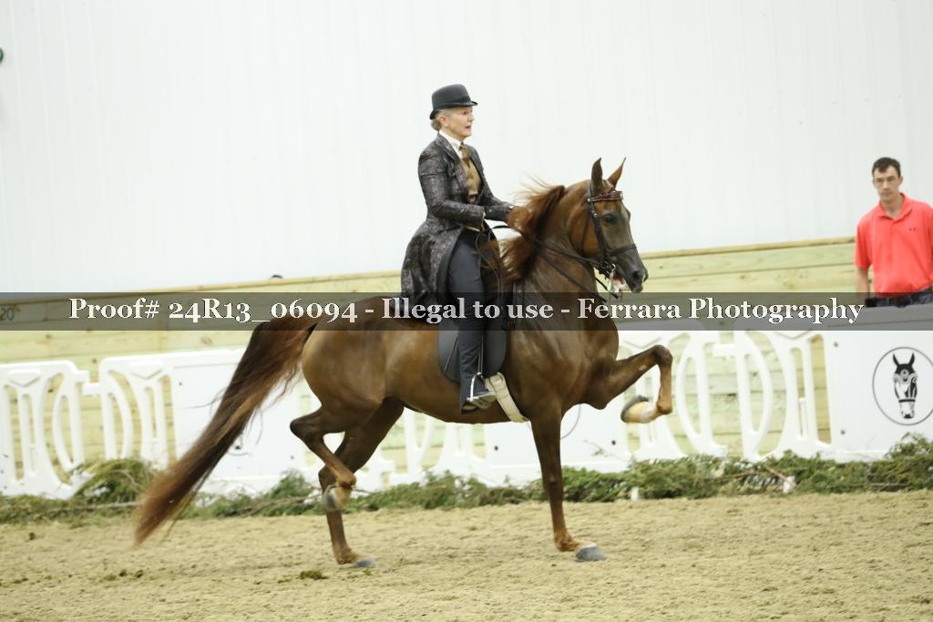 Proof 24R13_06094