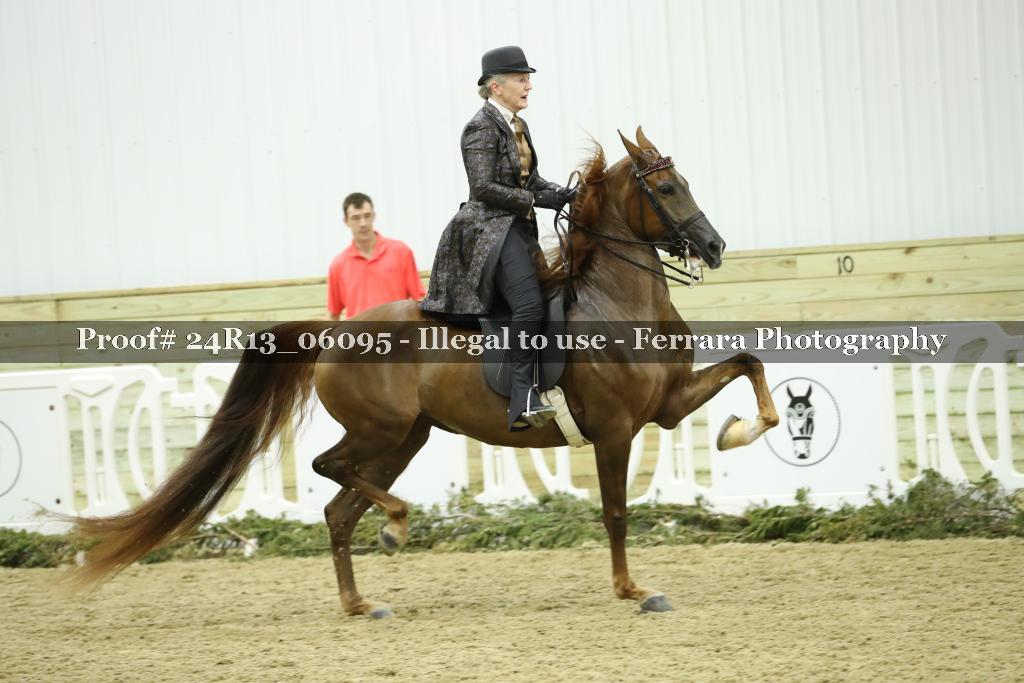 Proof 24R13_06095