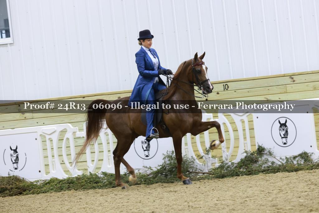 Proof 24R13_06096
